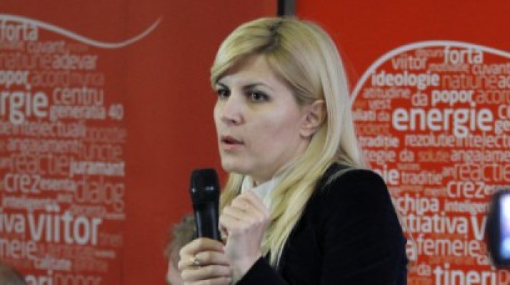 Udrea: Alte ţări au constituţii simple, la noi trebuie scris şi ce au voie să mănânce parlamentarii